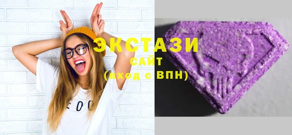винт Ельня