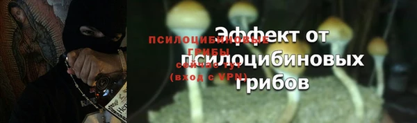 стаф Беломорск